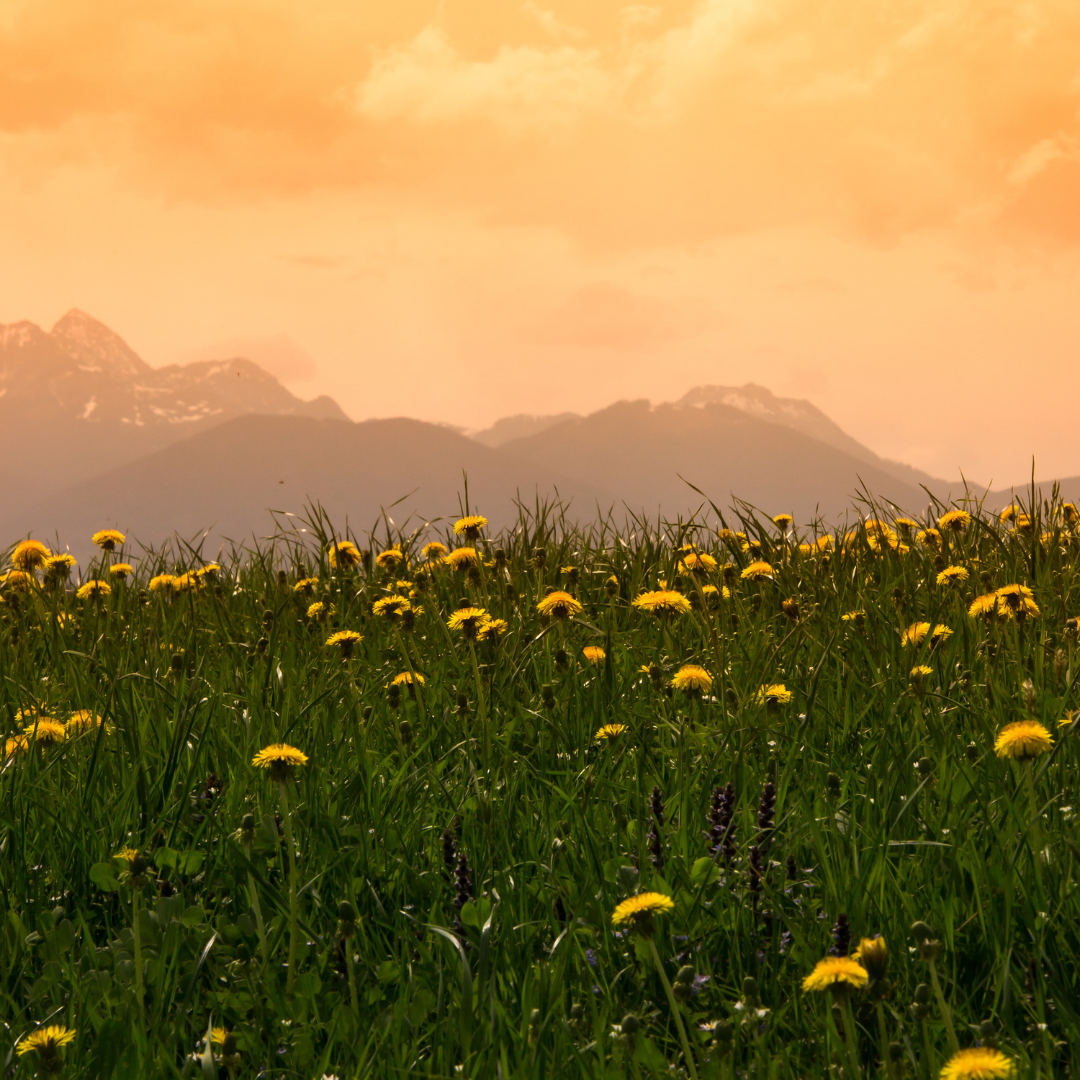 7 Essentials for Staying Dry on Every Outdoor Adventure