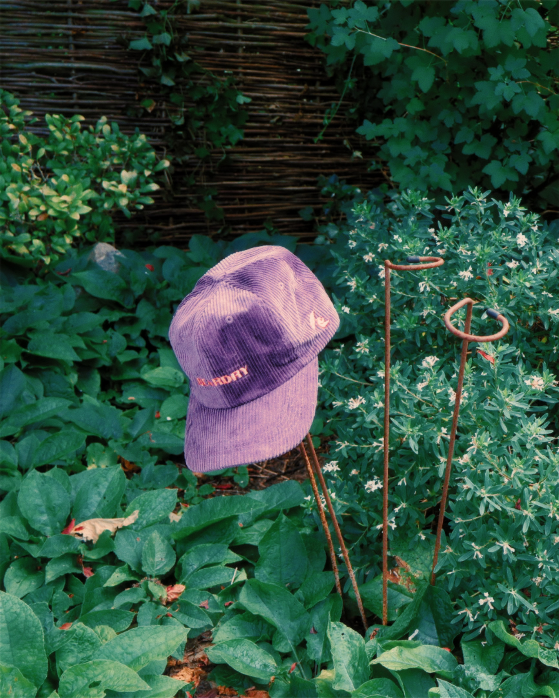Grizzly Corduroy Cap